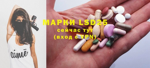 индика Баксан