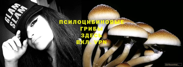 тгк Балахна