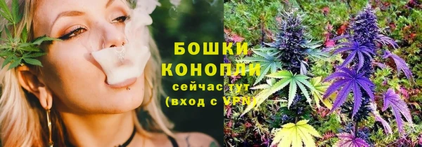 индика Баксан