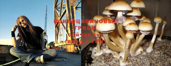 индика Баксан