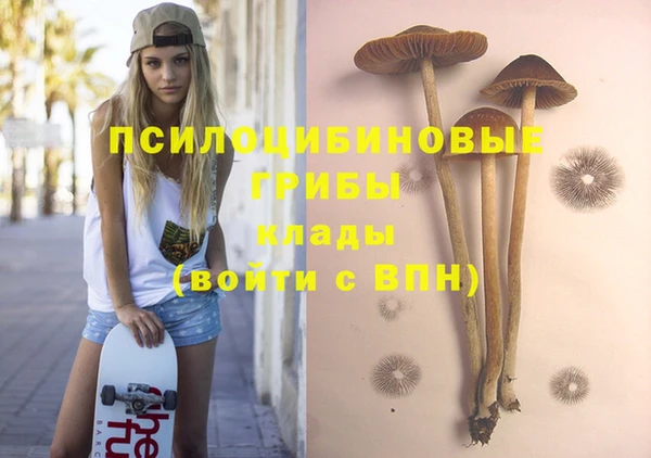 индика Баксан