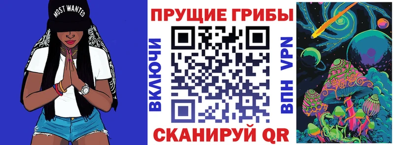 hydra ссылки  Пересвет  Псилоцибиновые грибы мухоморы 
